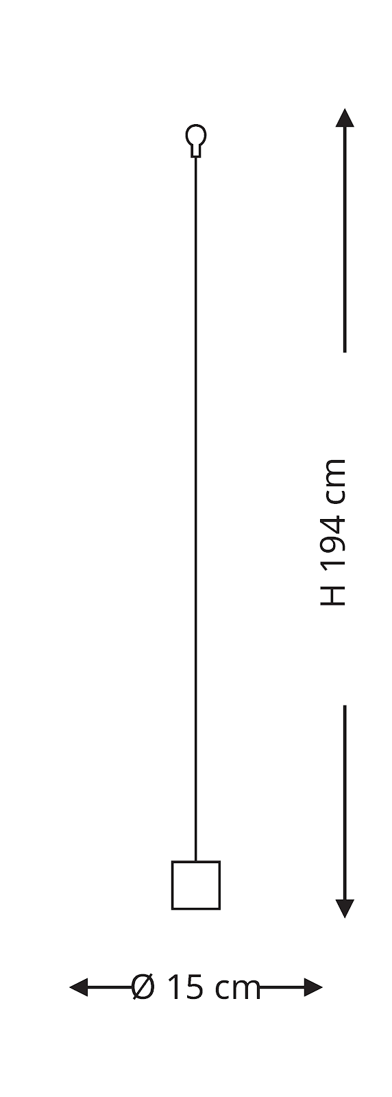 Nottiluca